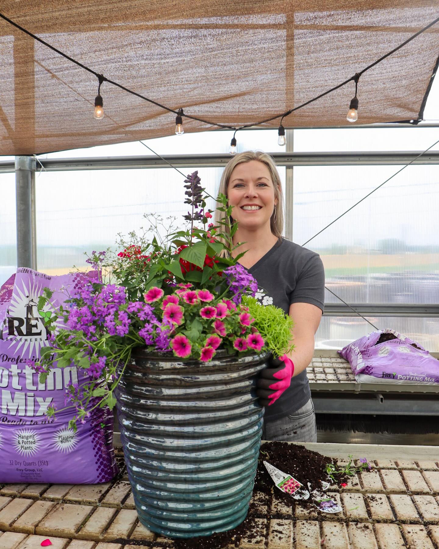 Eclectic collection of indoor plant pots