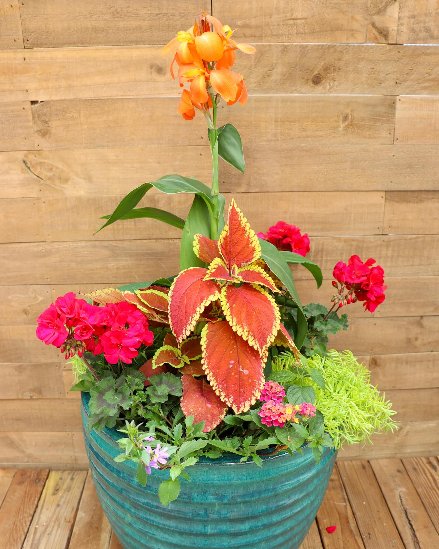 herb garden in bay window