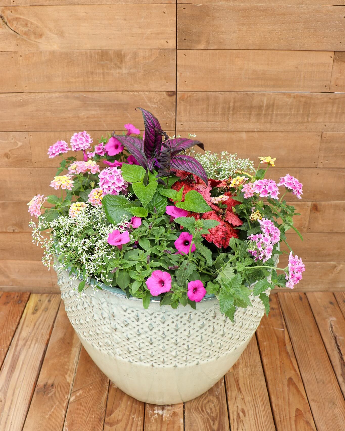 modern acrylic planter with orchids