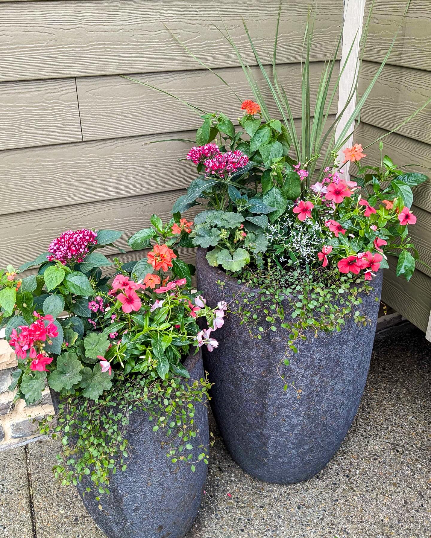 seasonal plants in alcove