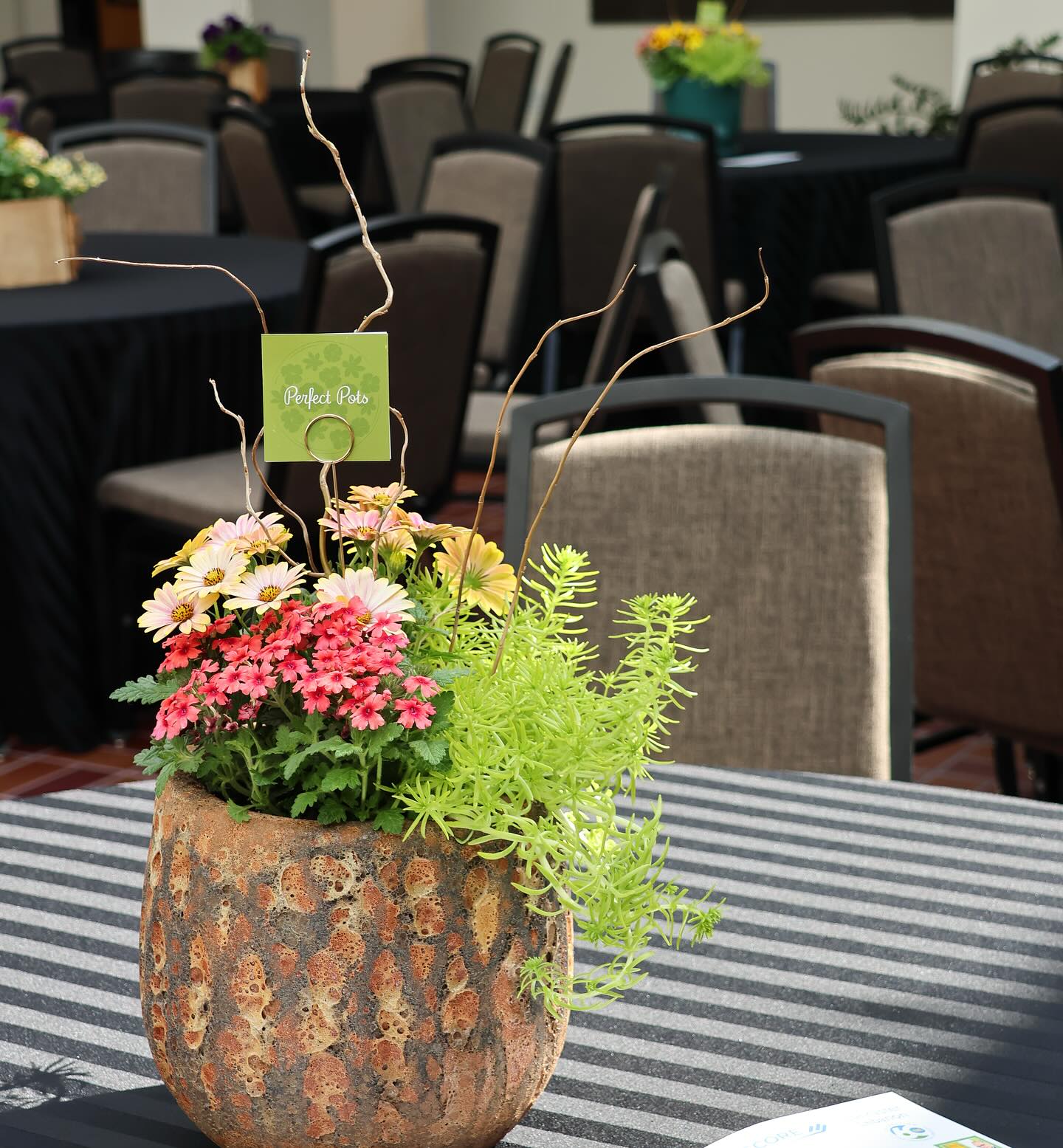 Rustic patio with clay pots and seating