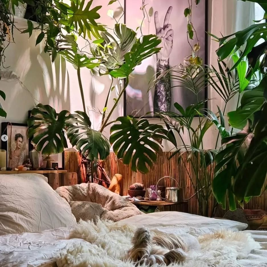 Fresh potted lavender and mint on windowsill