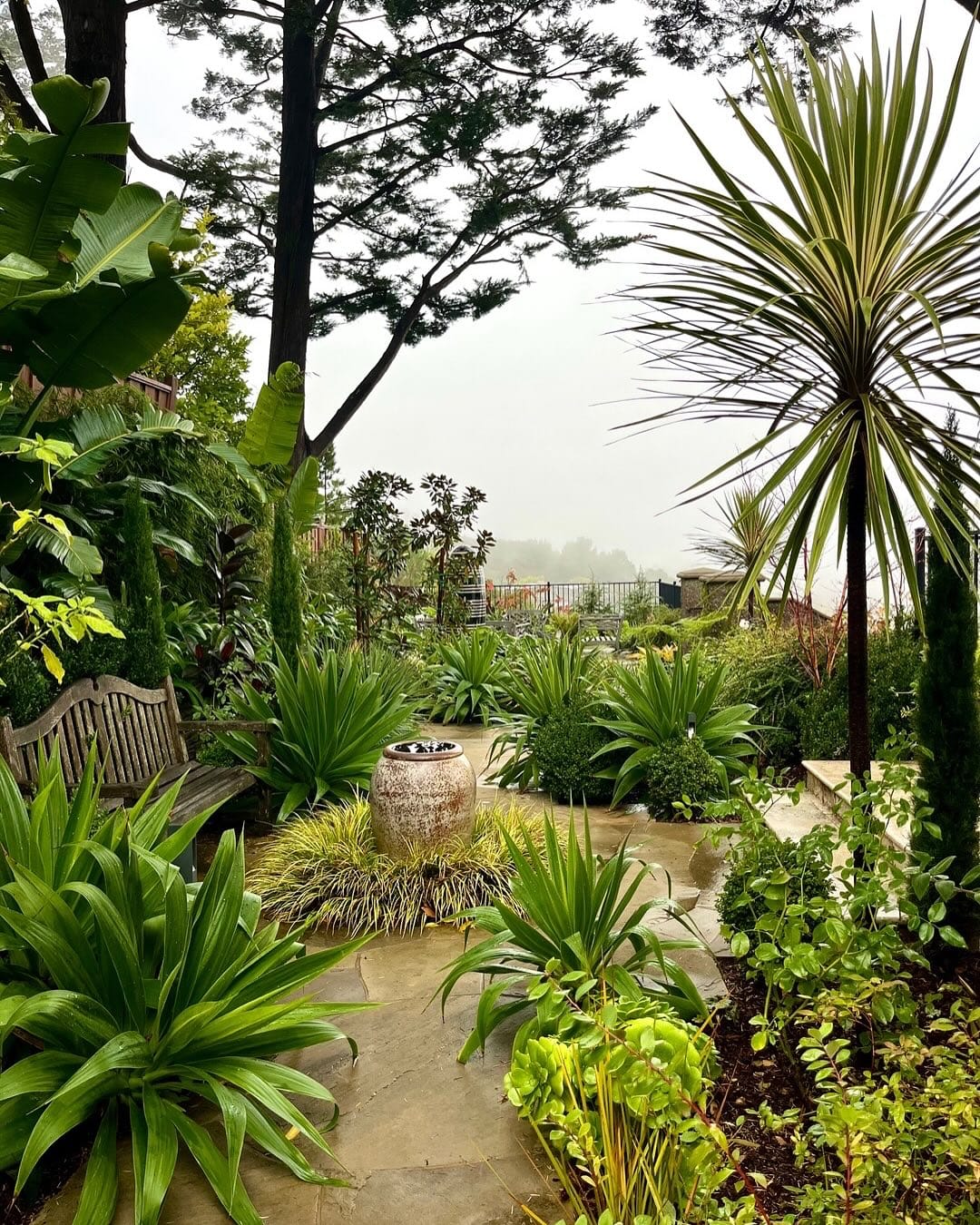 Thriving wooden crate edible garden with vegetables and herbs