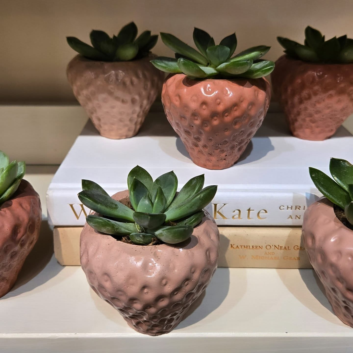 monochrome concrete planters