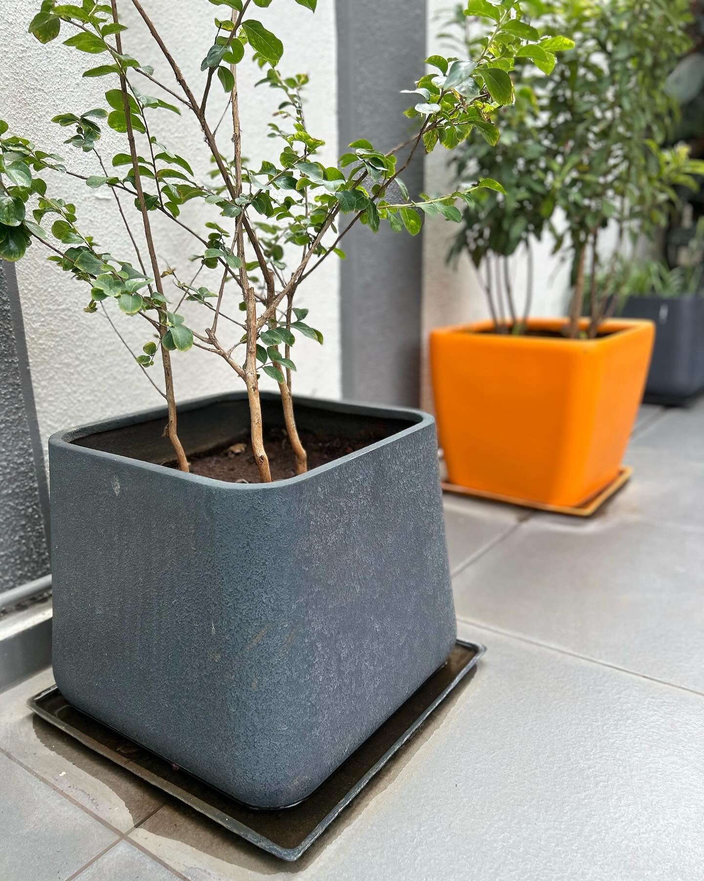 UV-resistant fiberglass planter in sunny garden