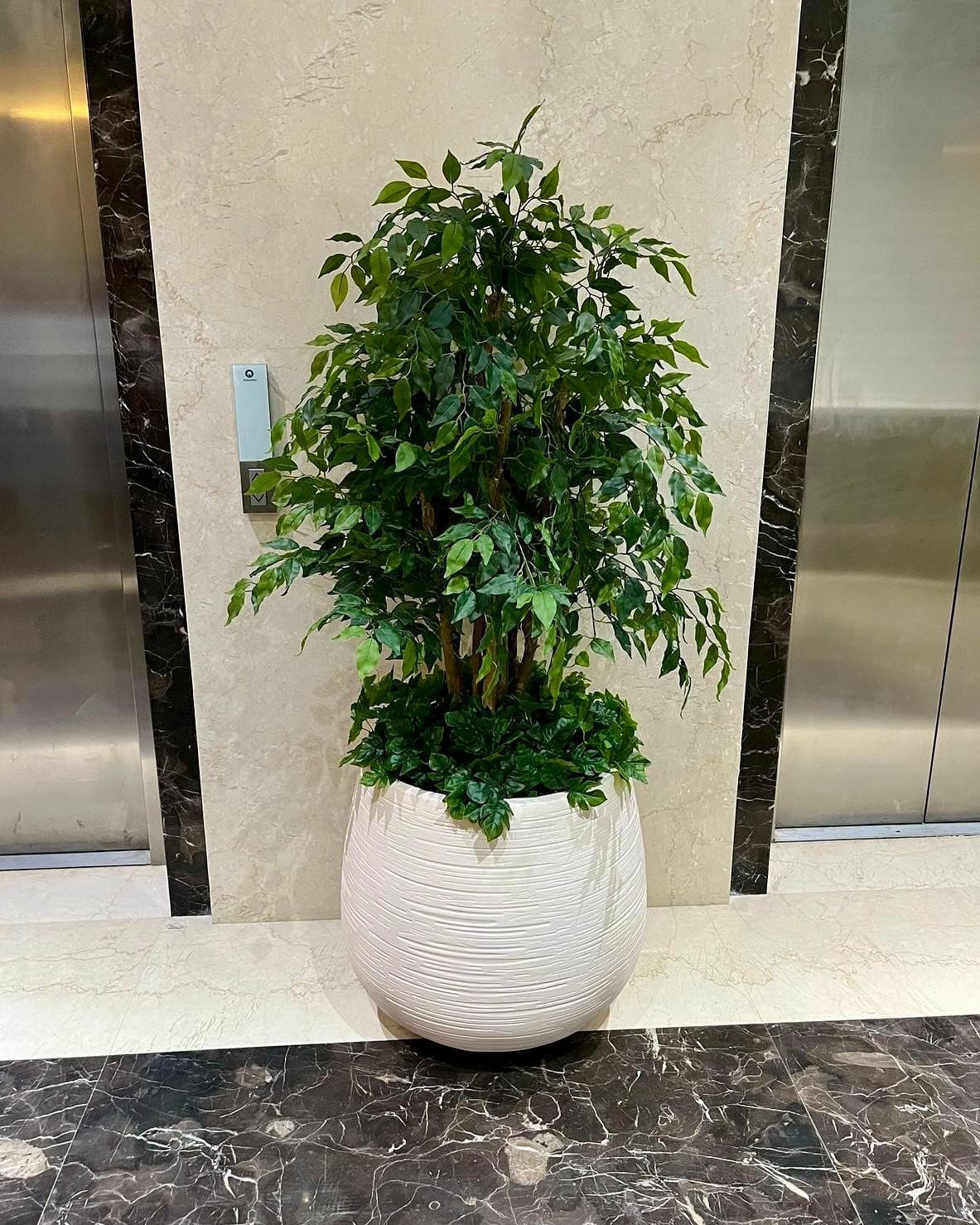 lightweight fiberglass planter on terrace