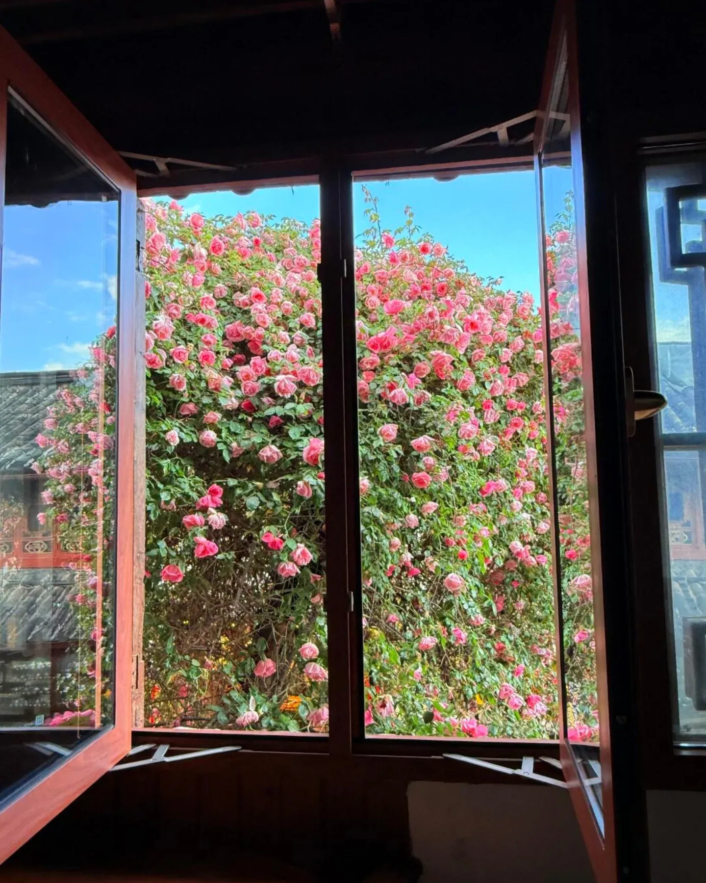 Sheer curtains allowing sunlight for plants
