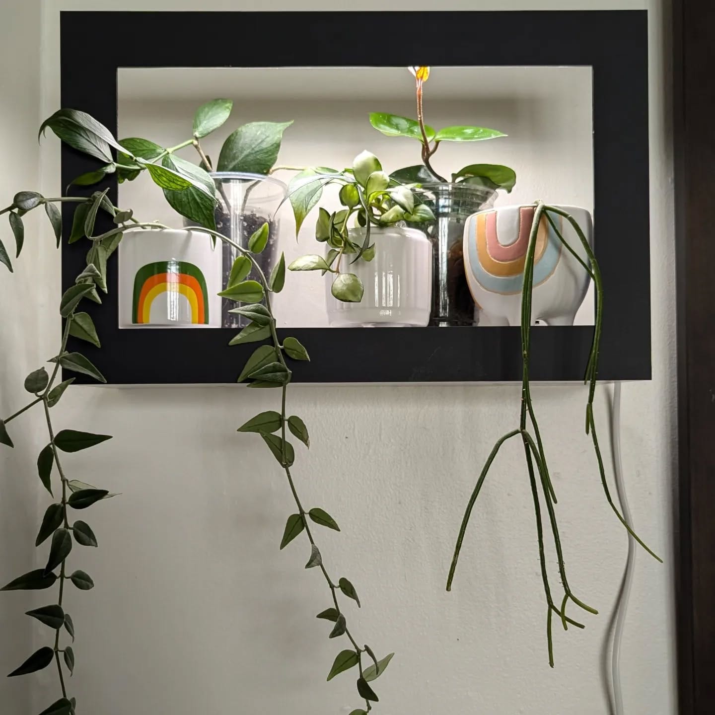 Ornate antique frames with botanical prints