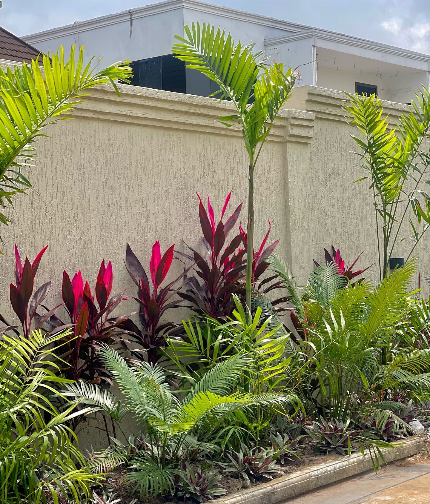 tropical plants in alcove