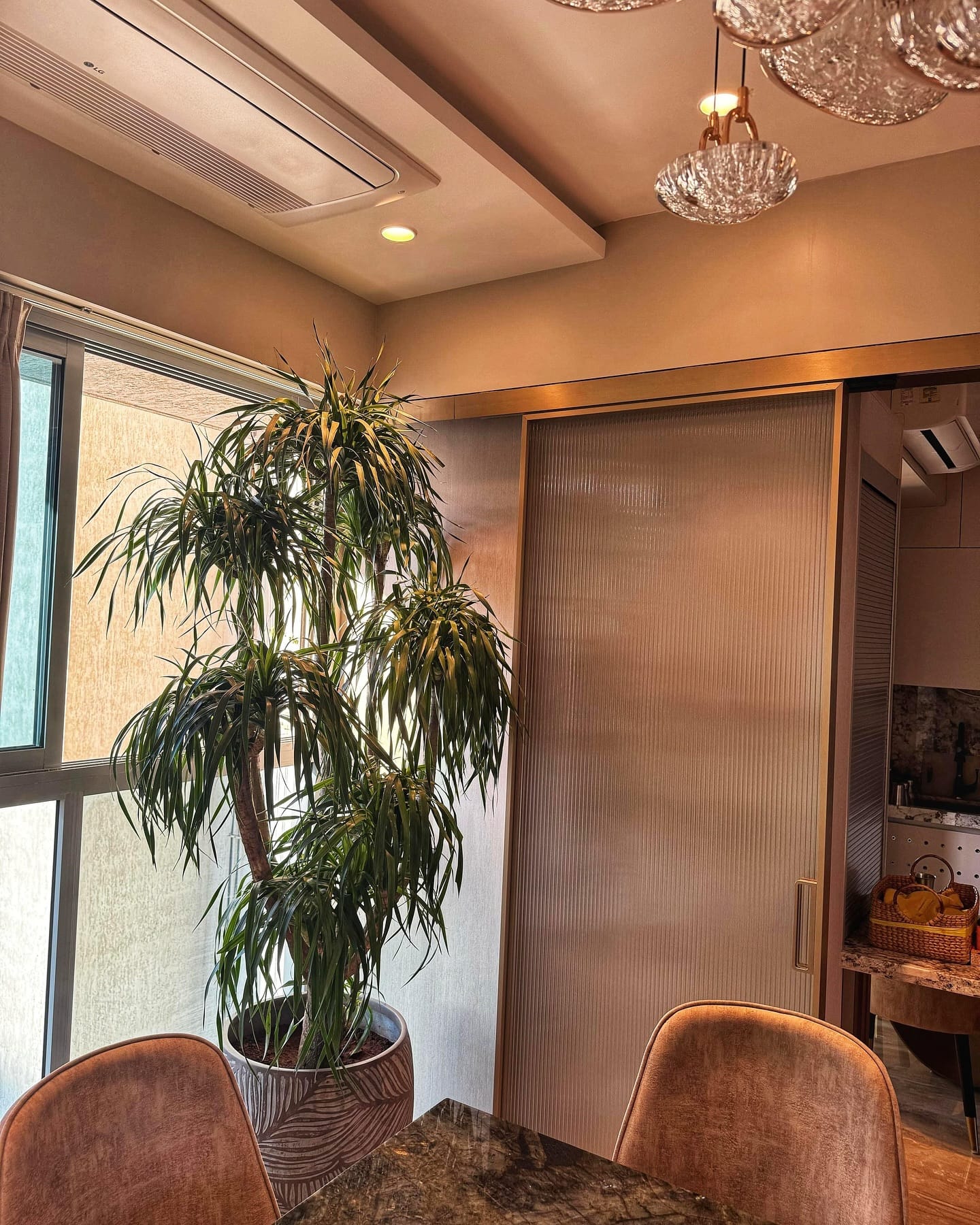 large monstera plant in sunroom