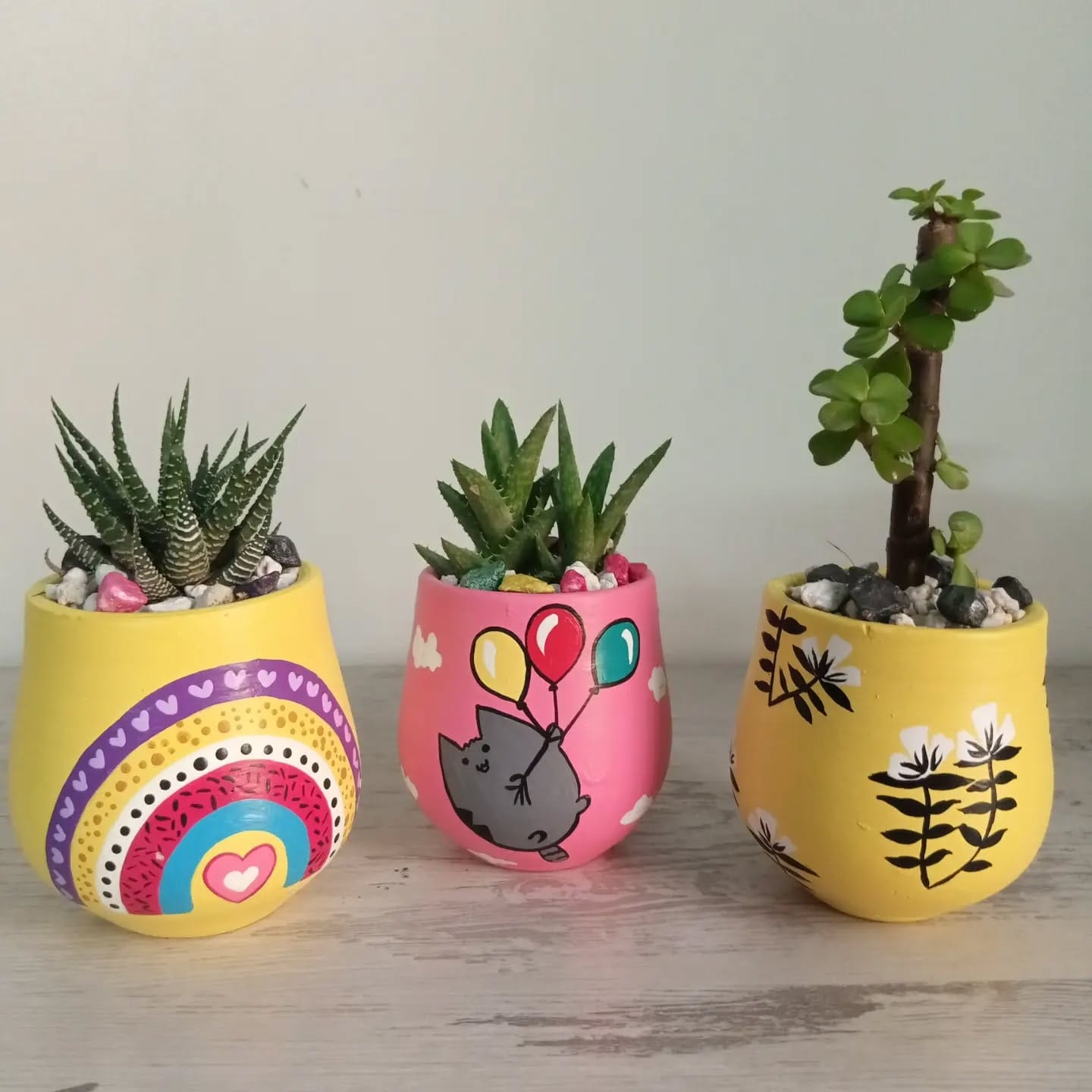 bright color blocked pots