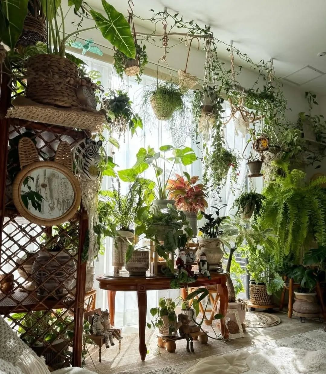 Air plants in geometric holders