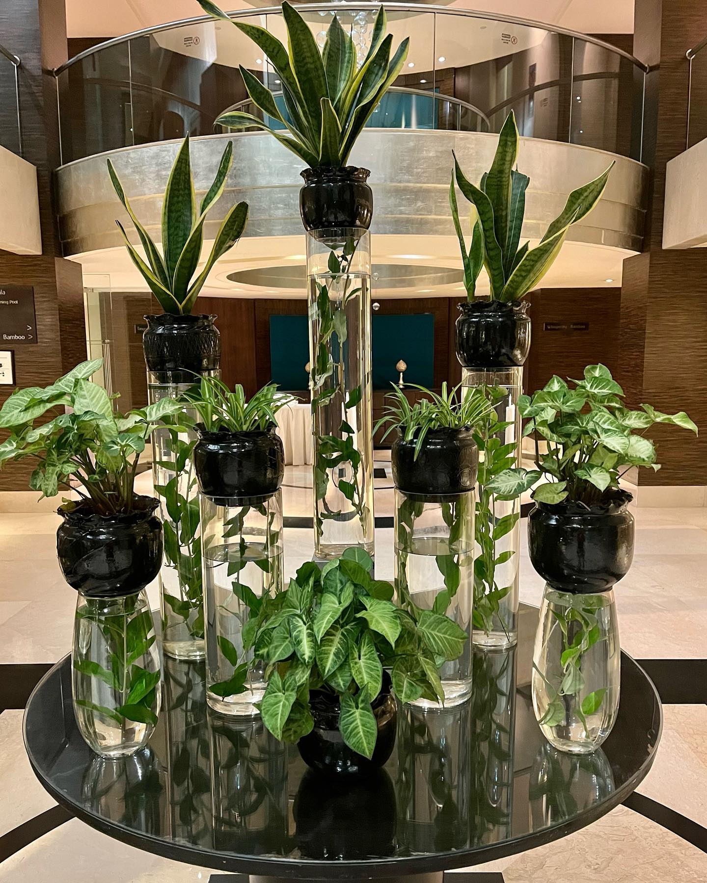 Serene wooden crate water feature with aquatic plants