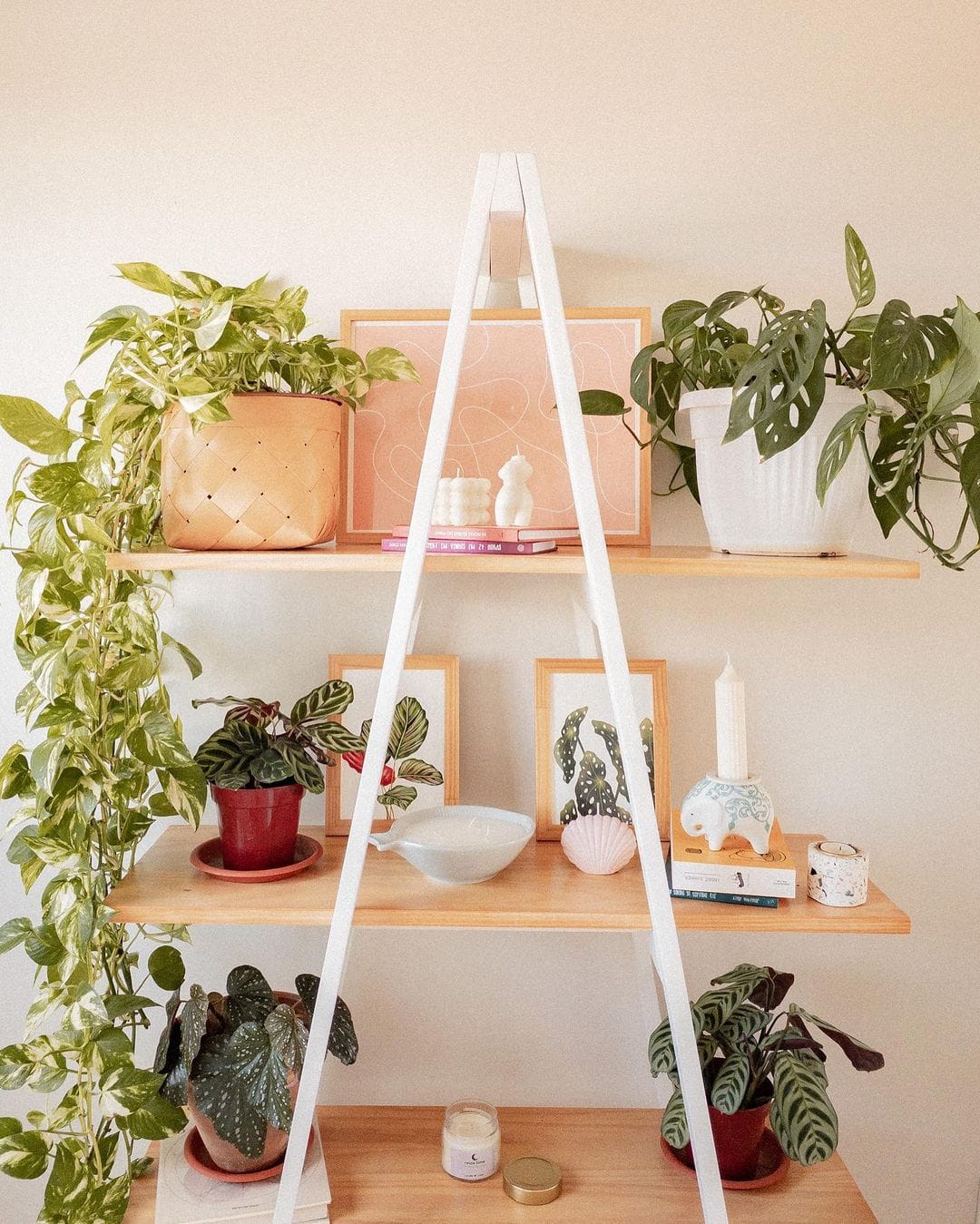 Stylish wooden ladder plant stand with potted greens