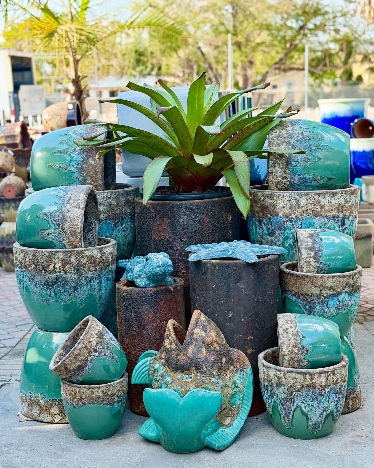 glazed ceramic planters with succulents