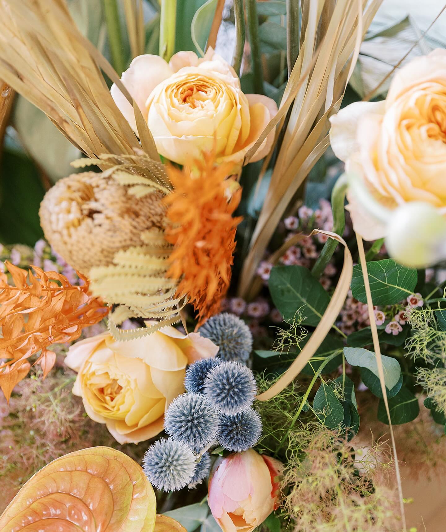 minimalist plant arrangement on trunks