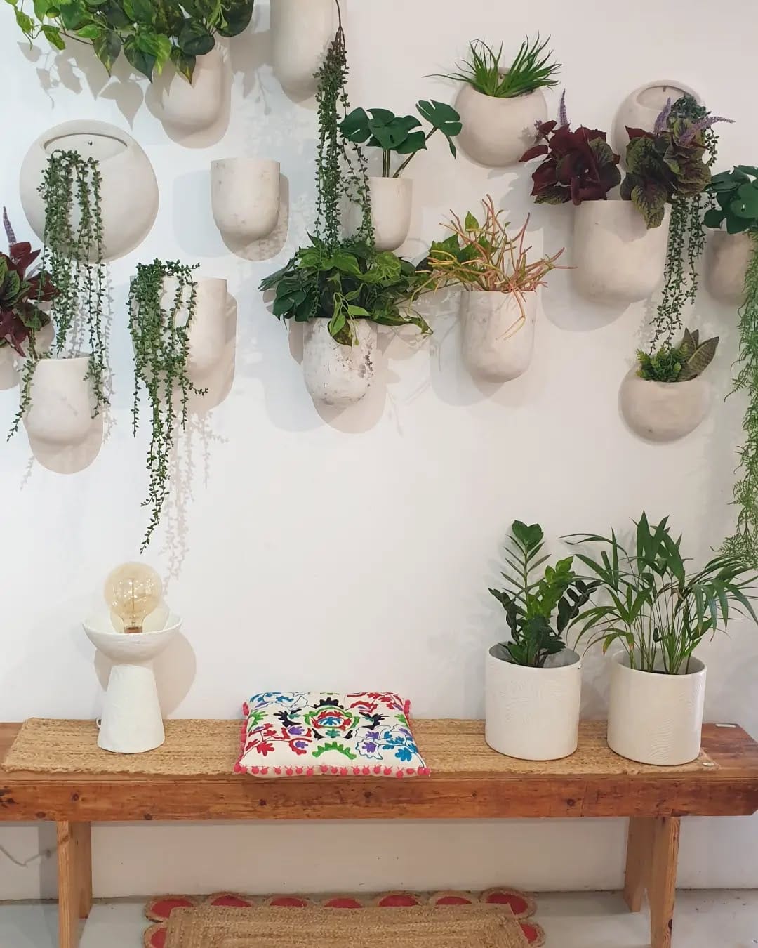 wall-mounted planter with trailing vines