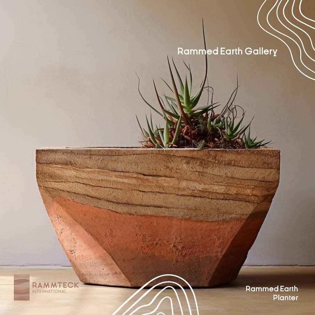 wooden planter with aloe vera