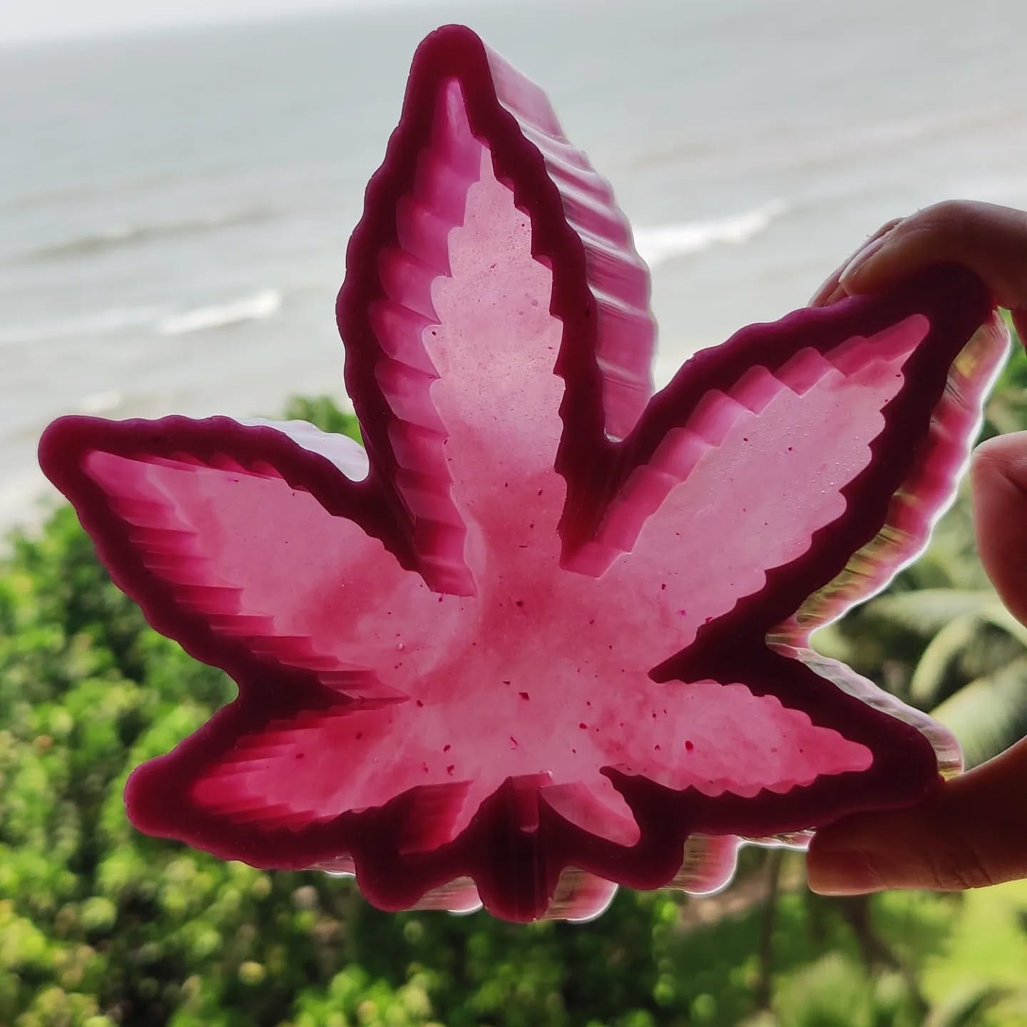 translucent leaf coasters on table