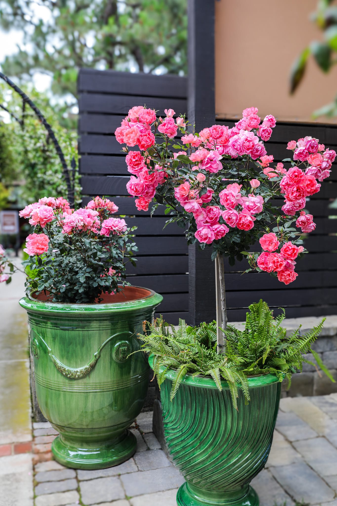 Hand-painted vintage watering can planter