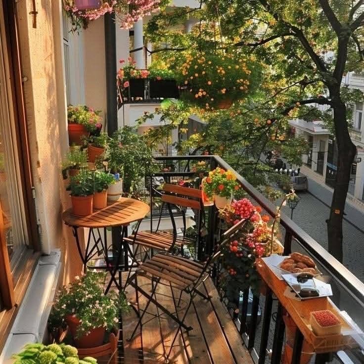 variety of succulents on shelf