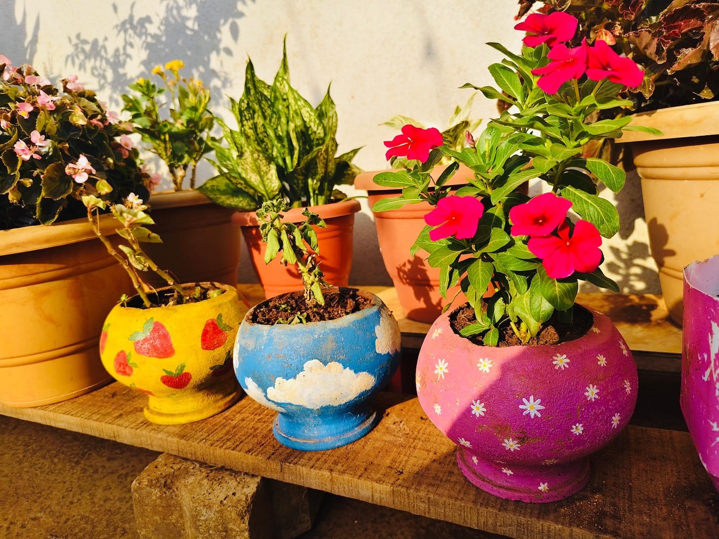 Butterfly-friendly flowers in a watering can