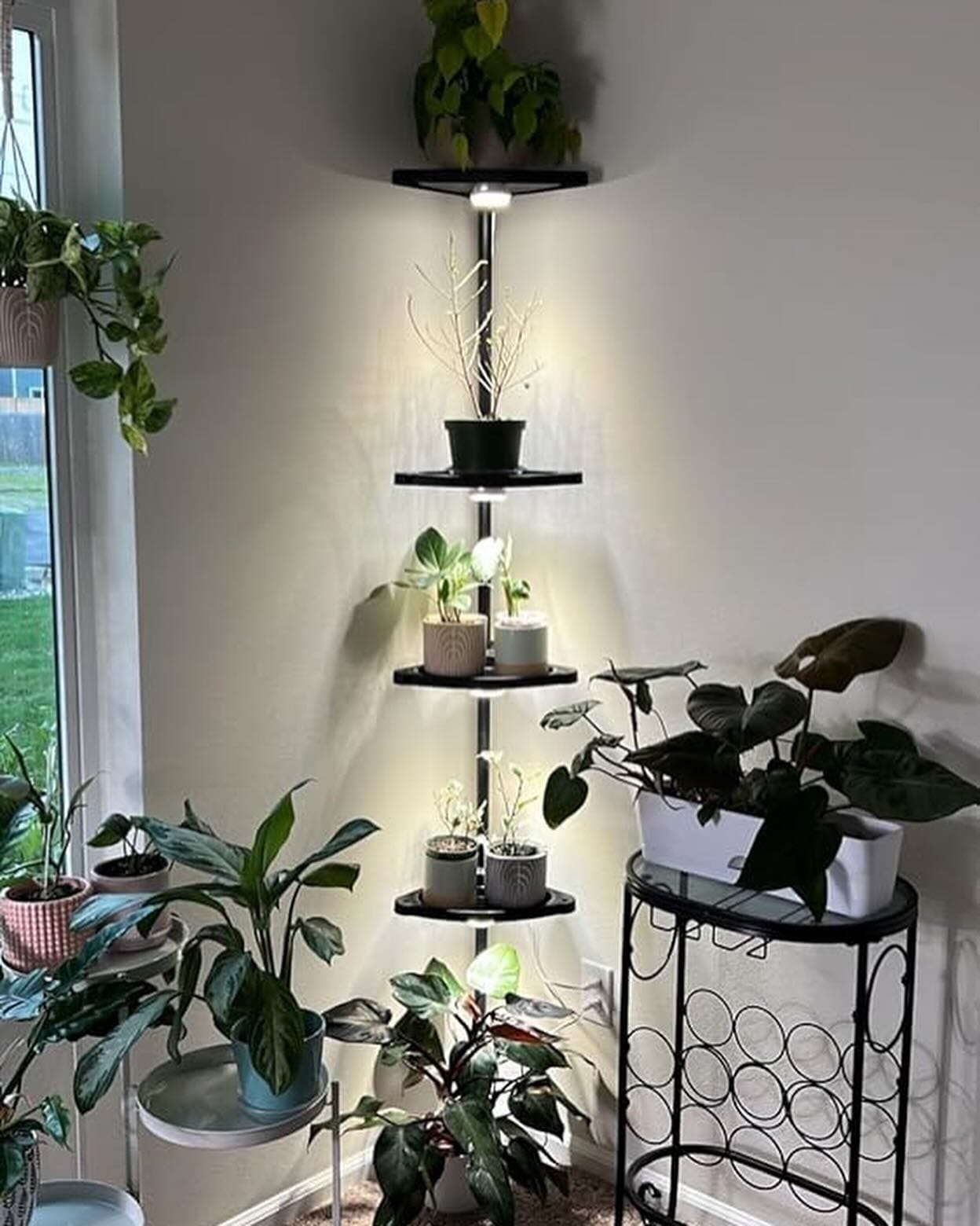 LED grow light on shelf