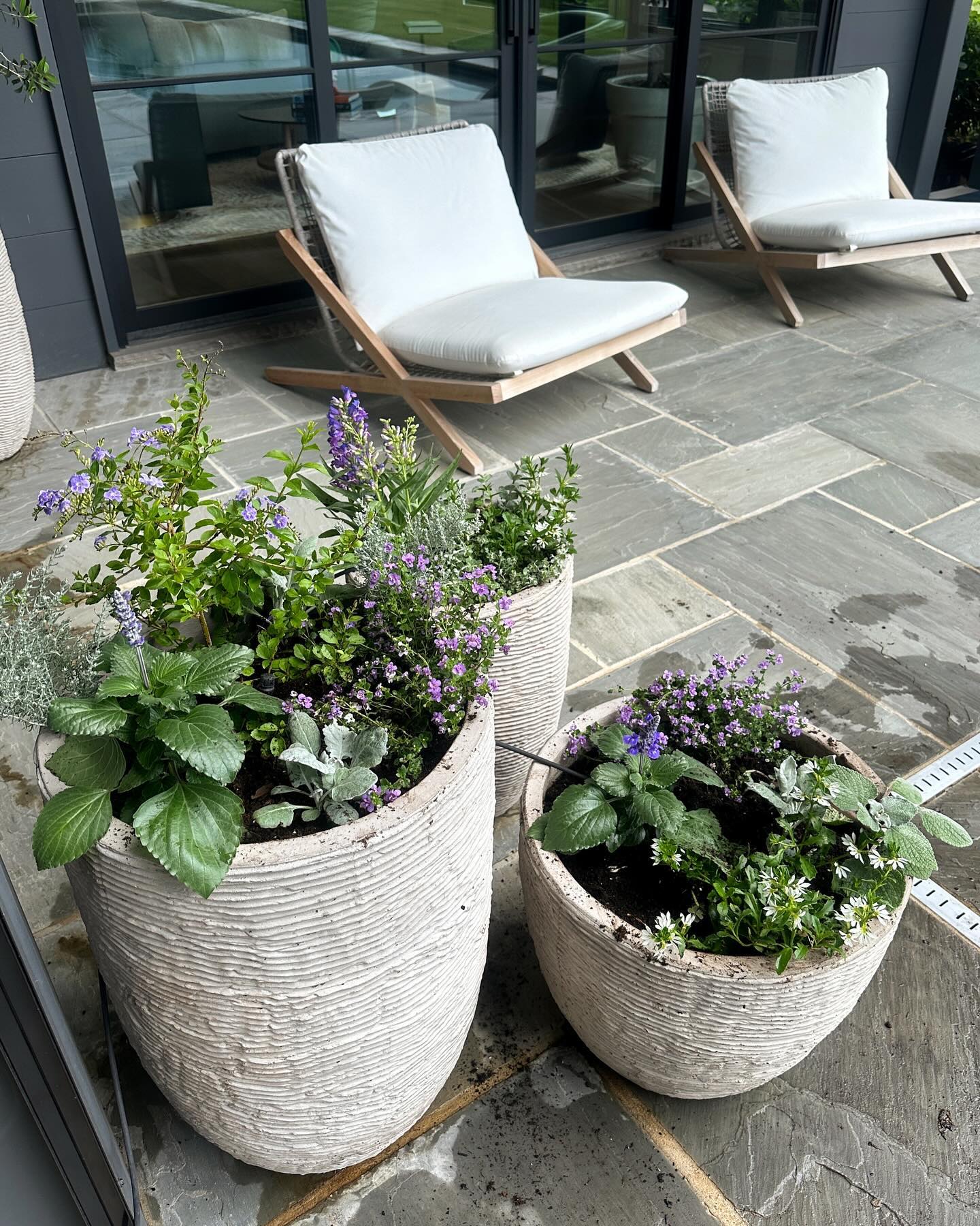 metal and glass planter on minimalist shelf
