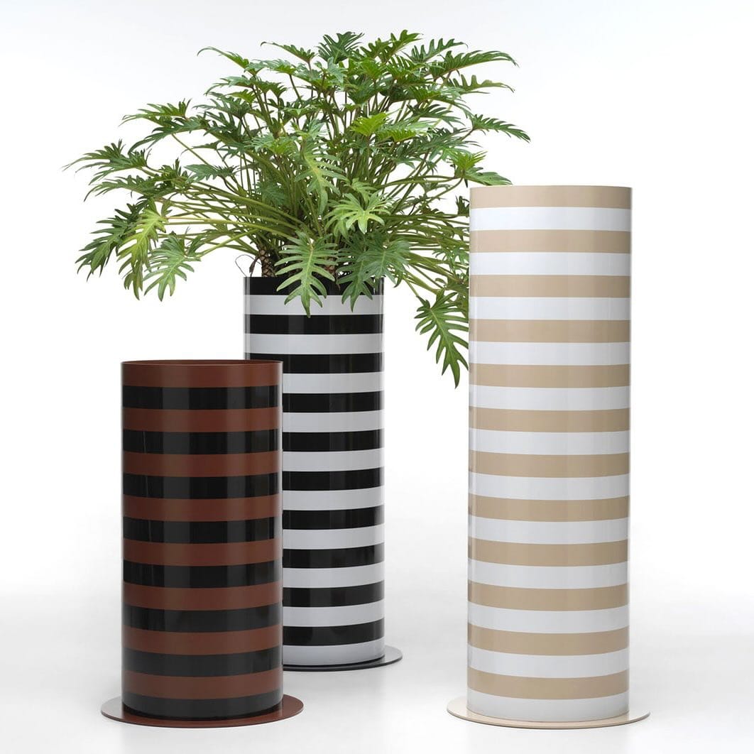 Striking black and white striped plant pots