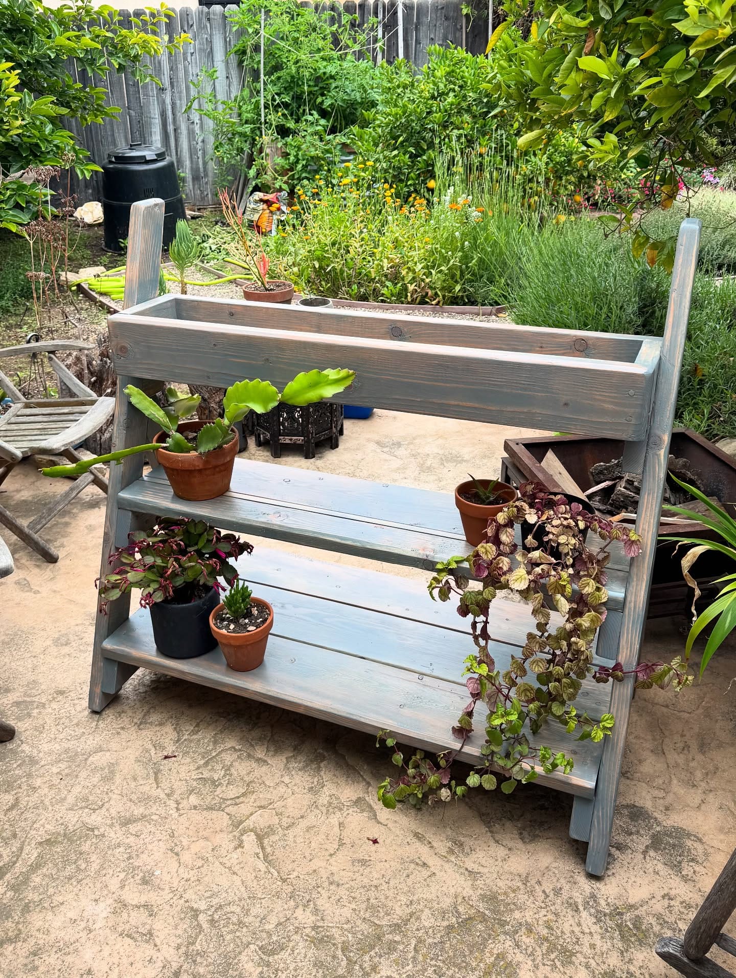 Wall-mounted spice racks with herbs