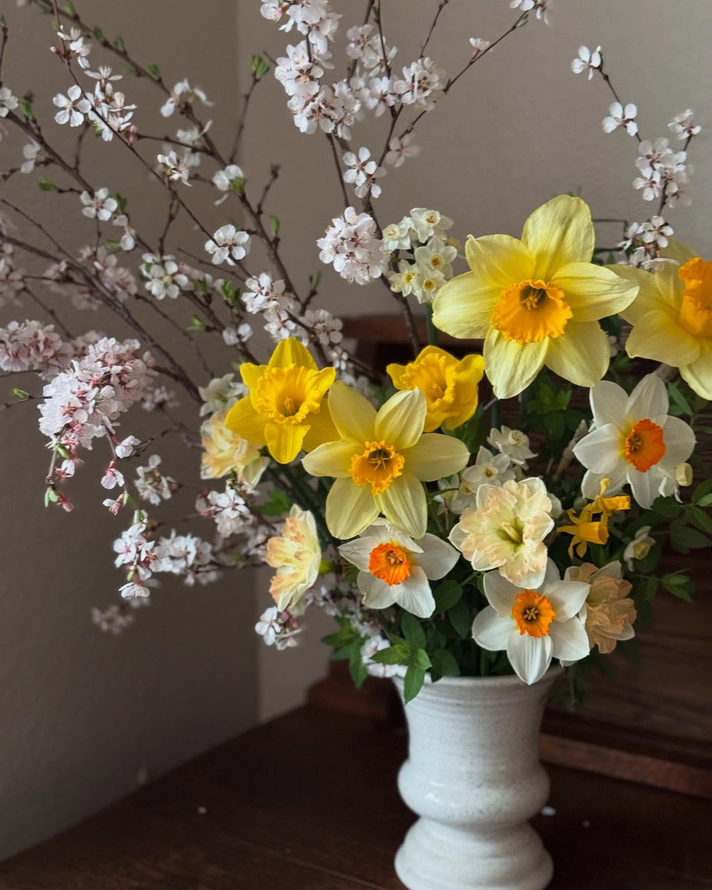 daffodils in decorative pot
