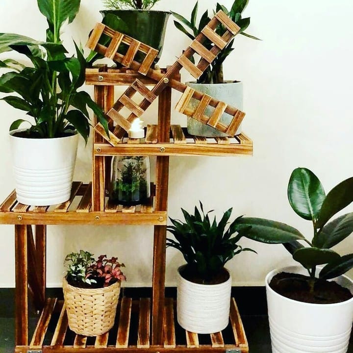 reclaimed wood shelves with potted ferns