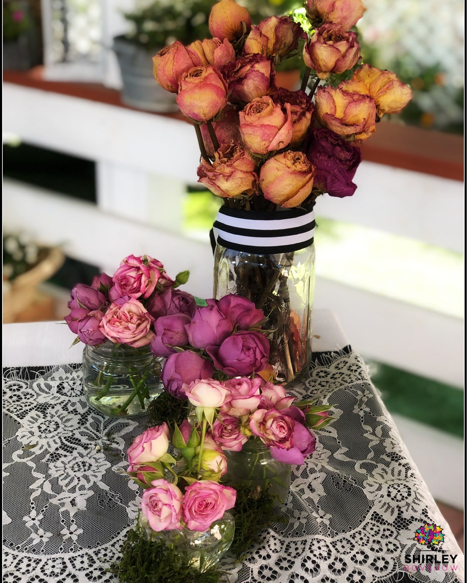 bromeliad on bathroom counter
