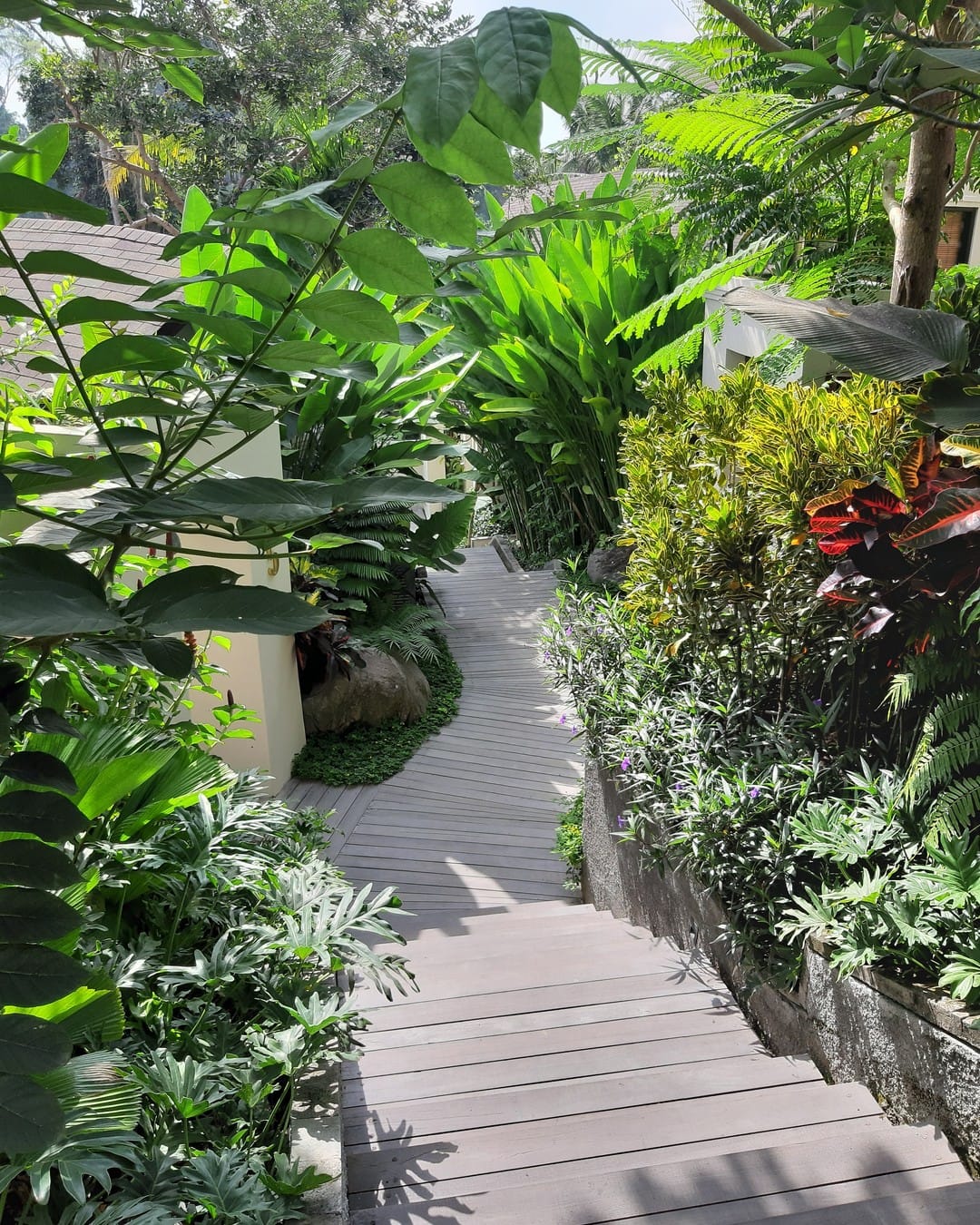 indoor palm trees next to seating area