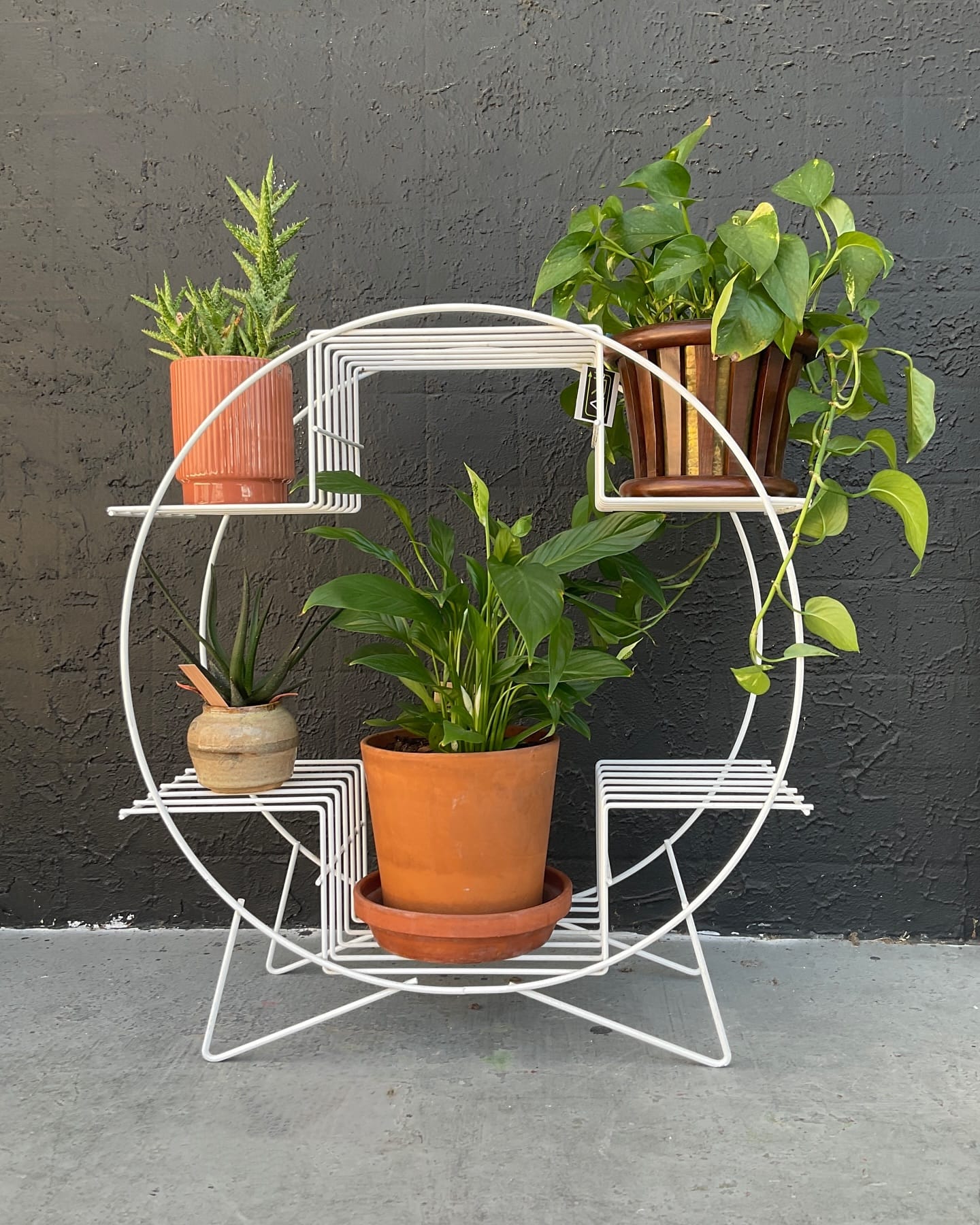 Rattan shelf with retro decor and greenery