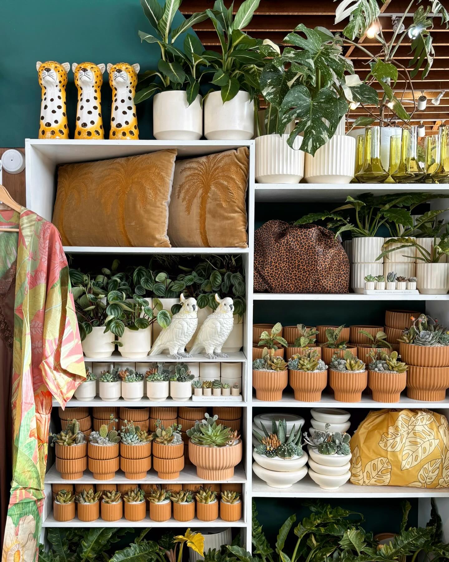 gradient pots on wooden shelf