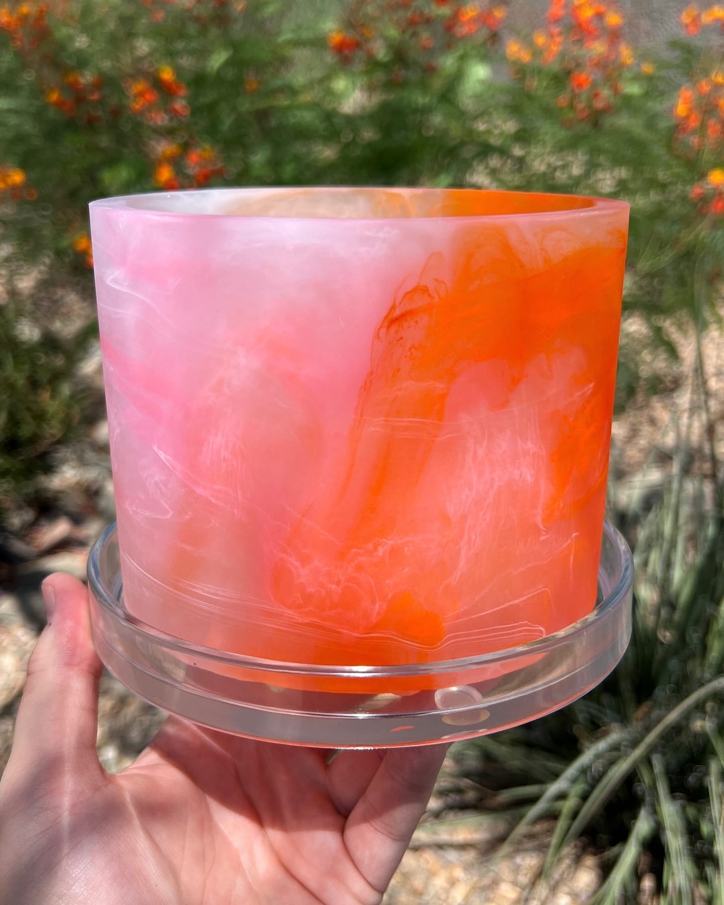 red and orange ombre planters with begonias