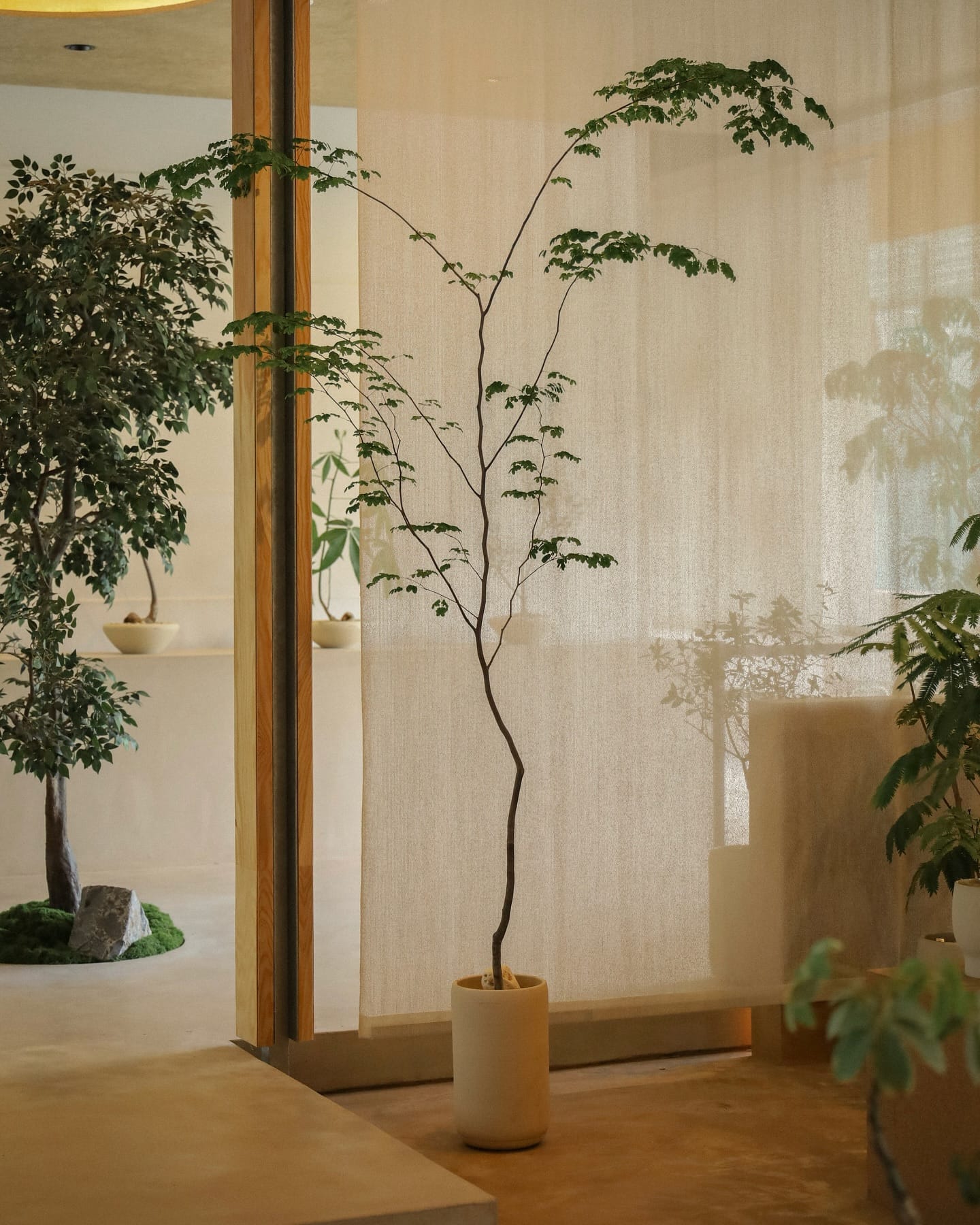 Artistic black and white mosaic planter collection