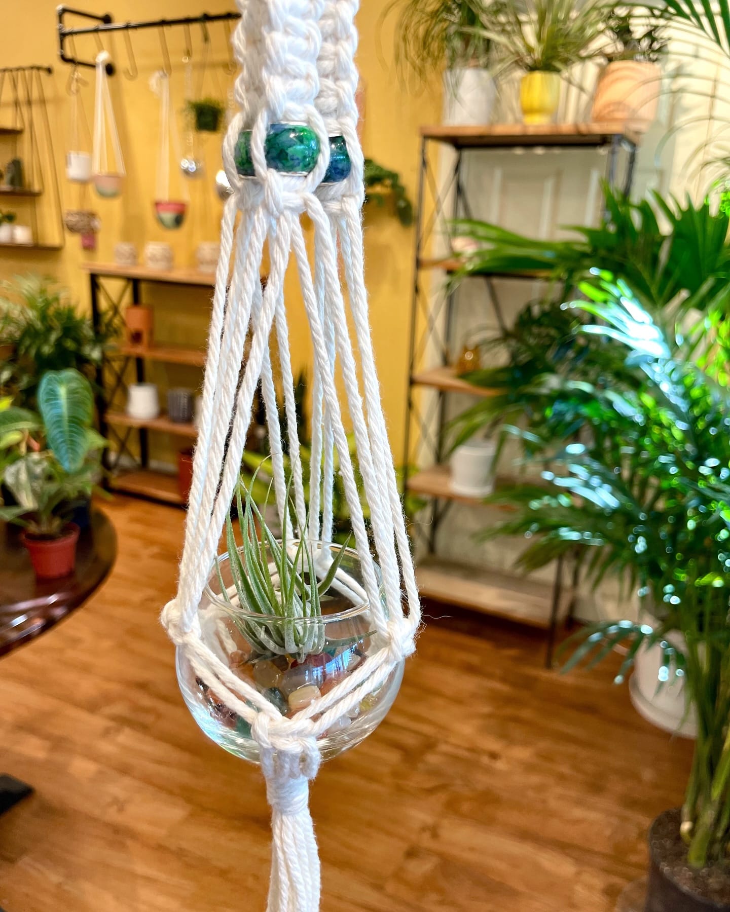 Bohemian succulents in macrame hangers