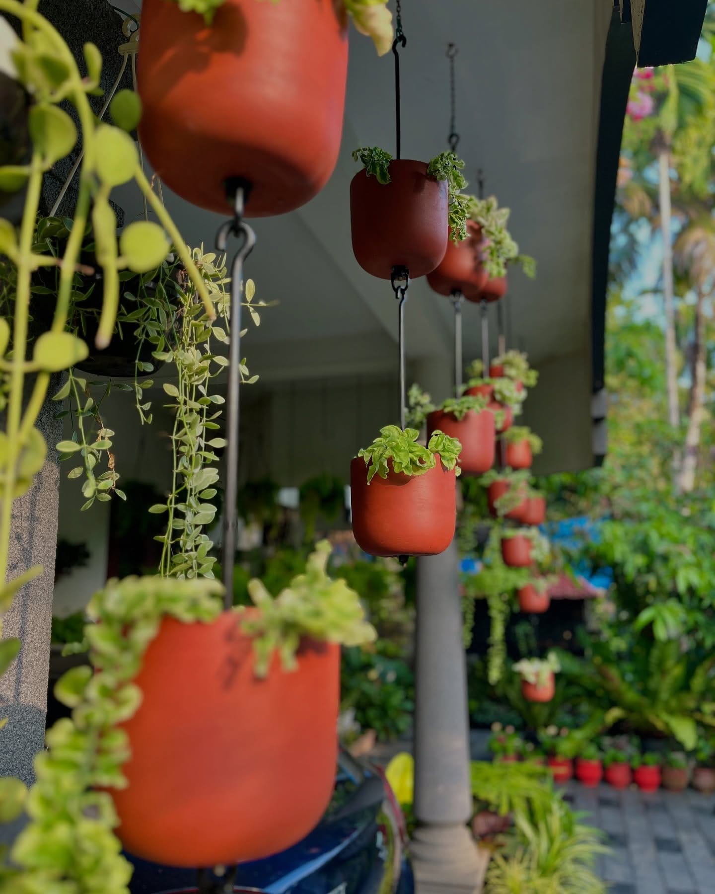 Ceramic hanging planters with greenery