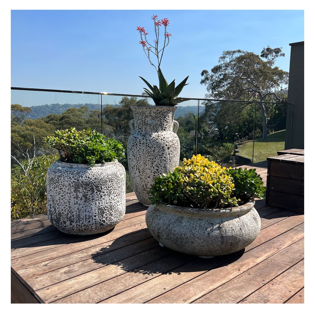 Modern concrete planter with succulents