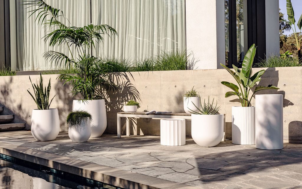 woven basket pot with plants