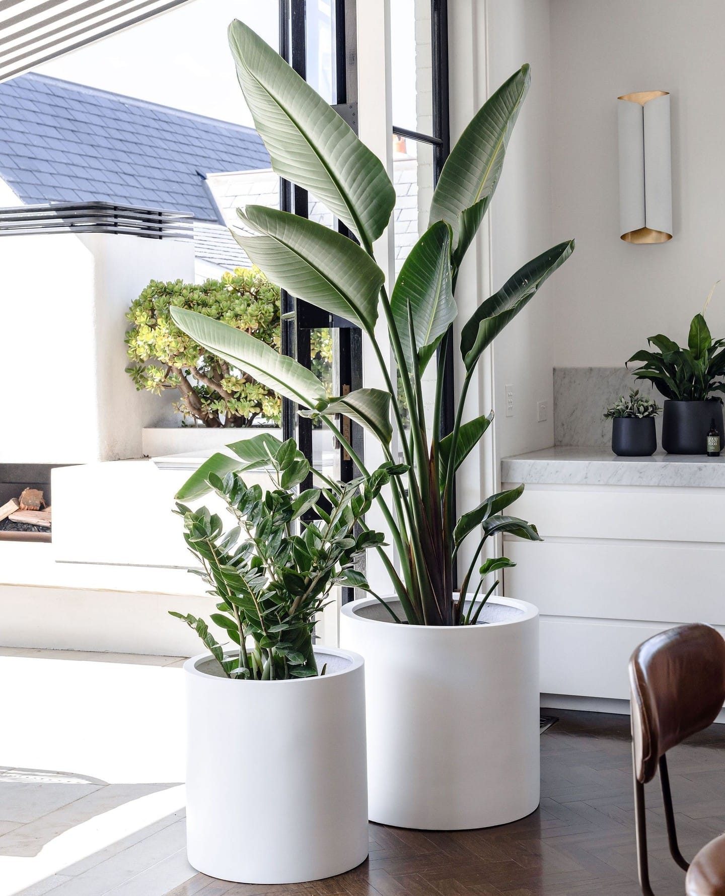 marble-look planter with climbing roses on balcony