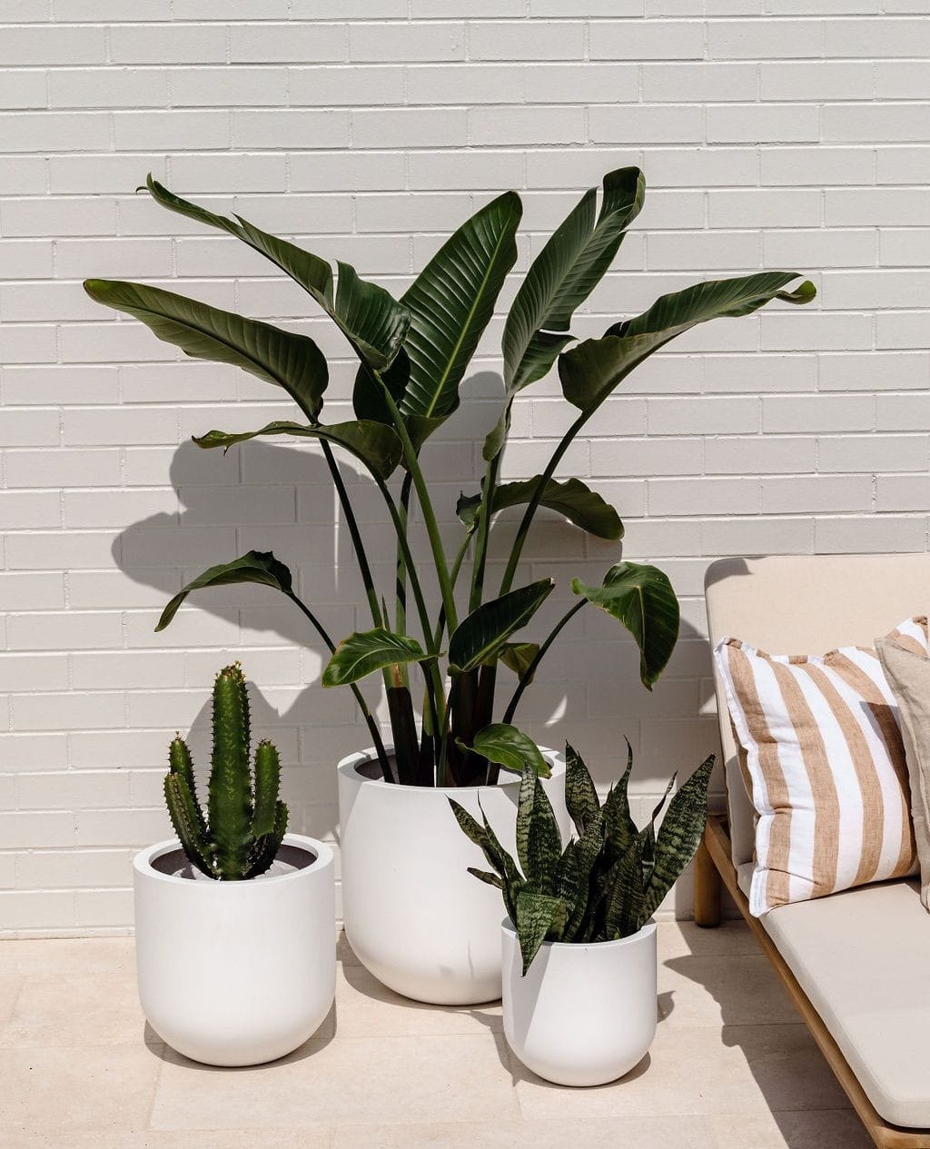 plants with swaying grasses