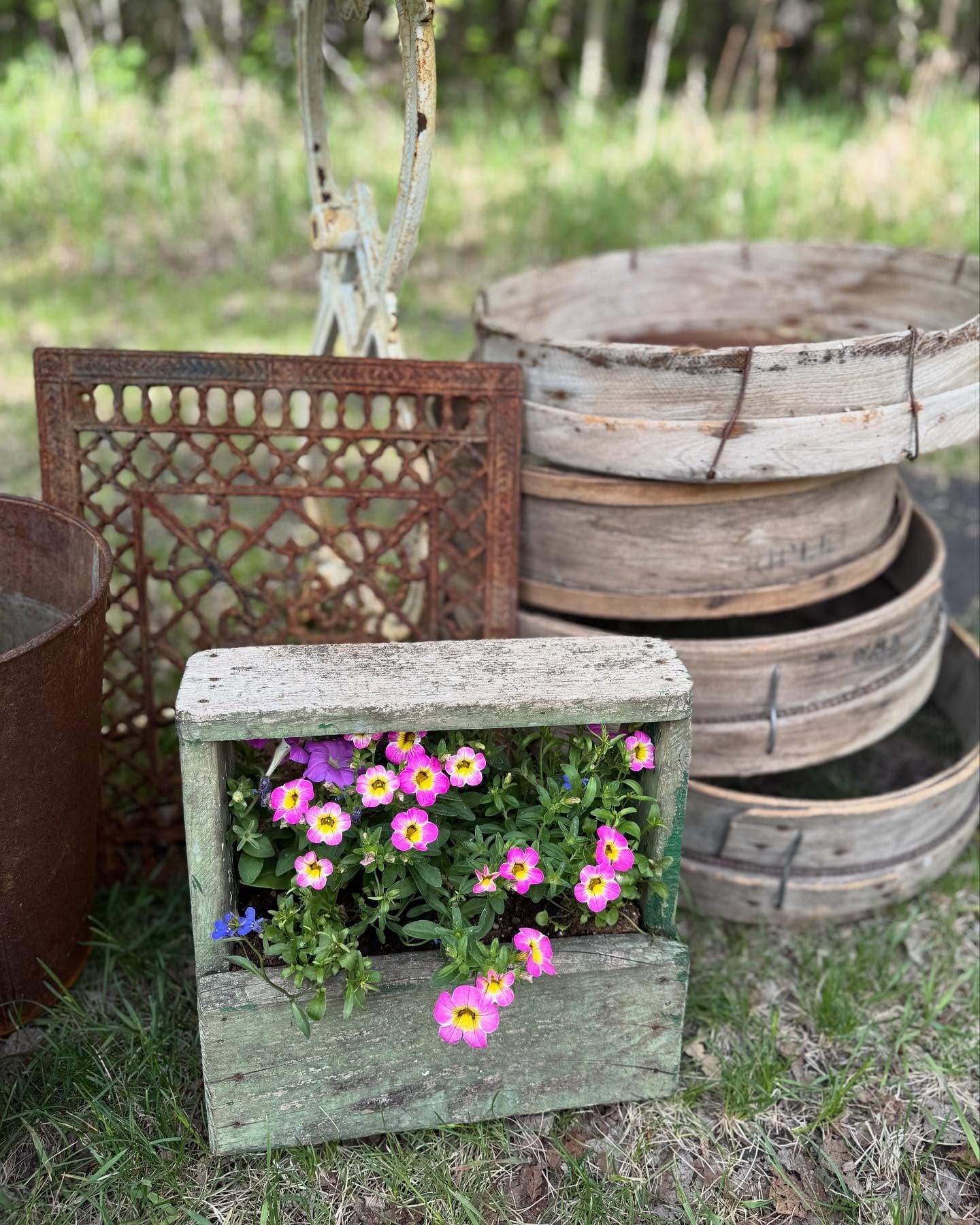 Half-cut wooden barrel with vibrant flowers