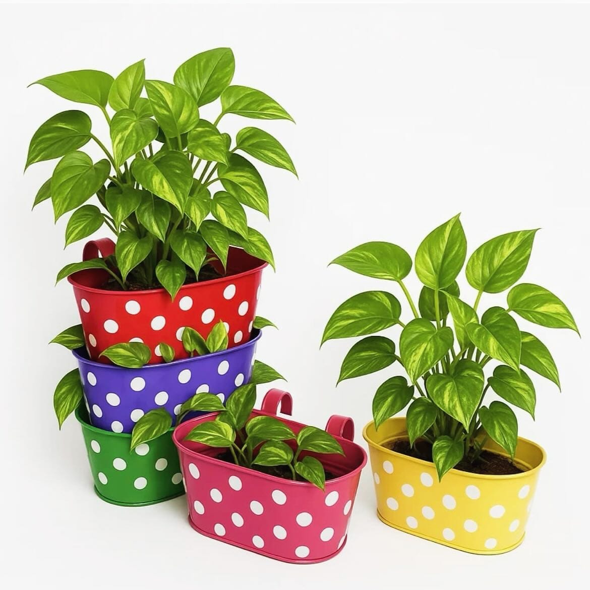 cast iron pot with roses