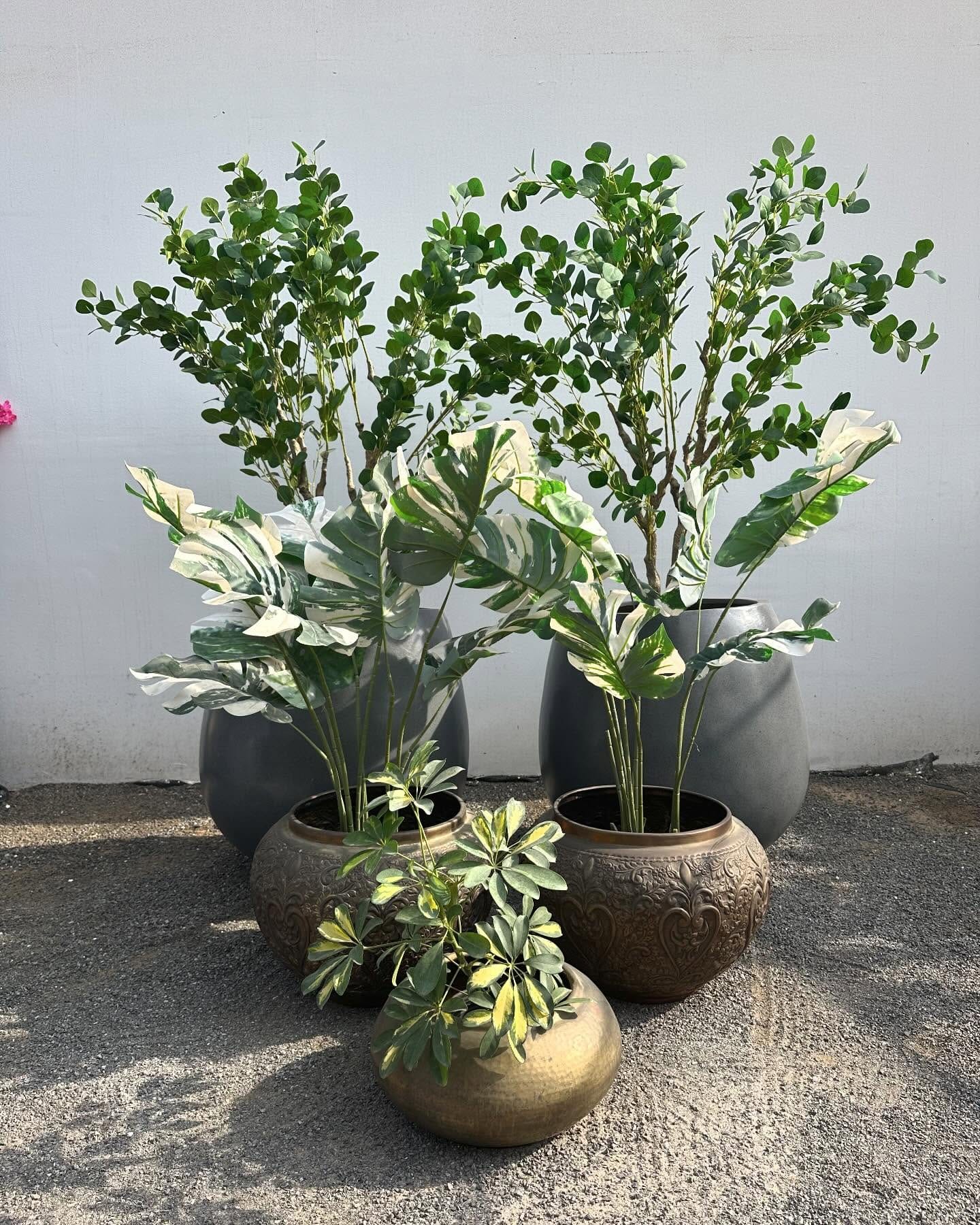 Polished copper plant pots with patina
