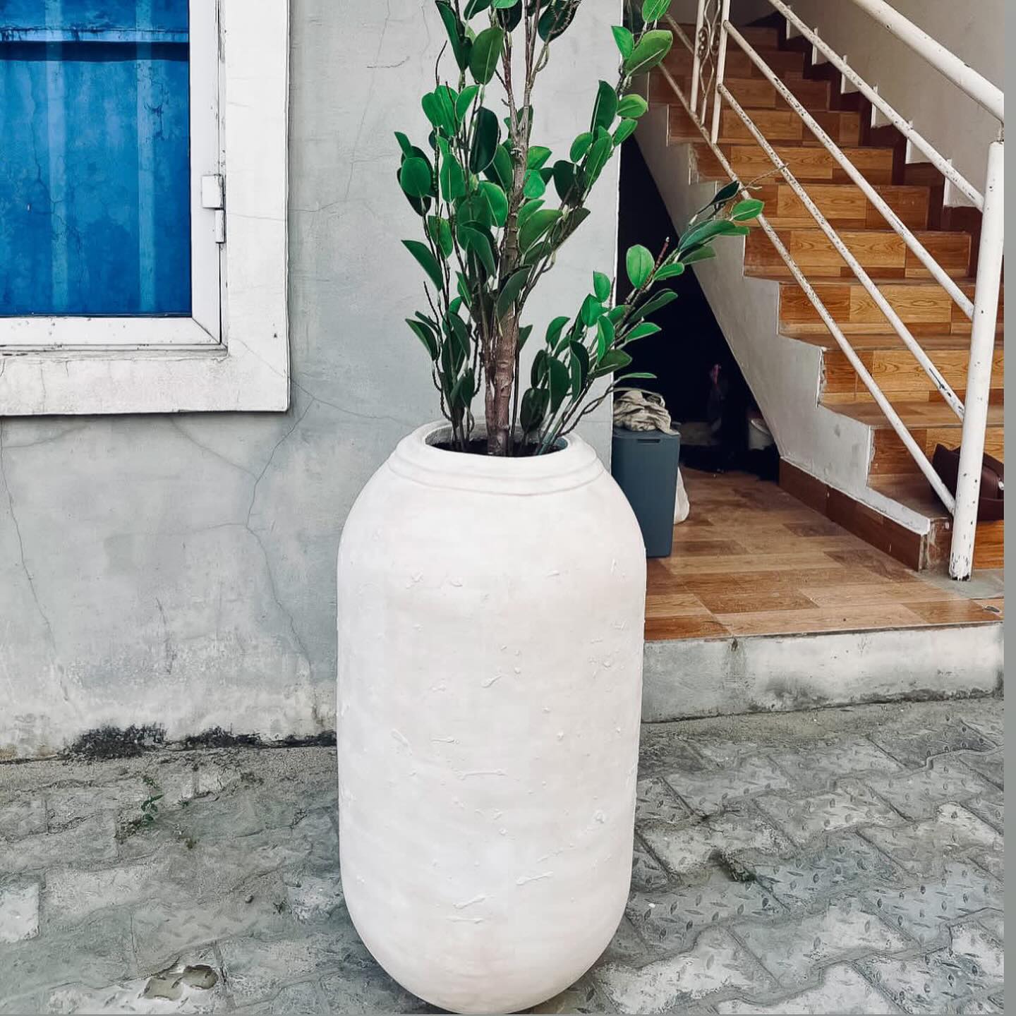 smooth concrete planter with cactus