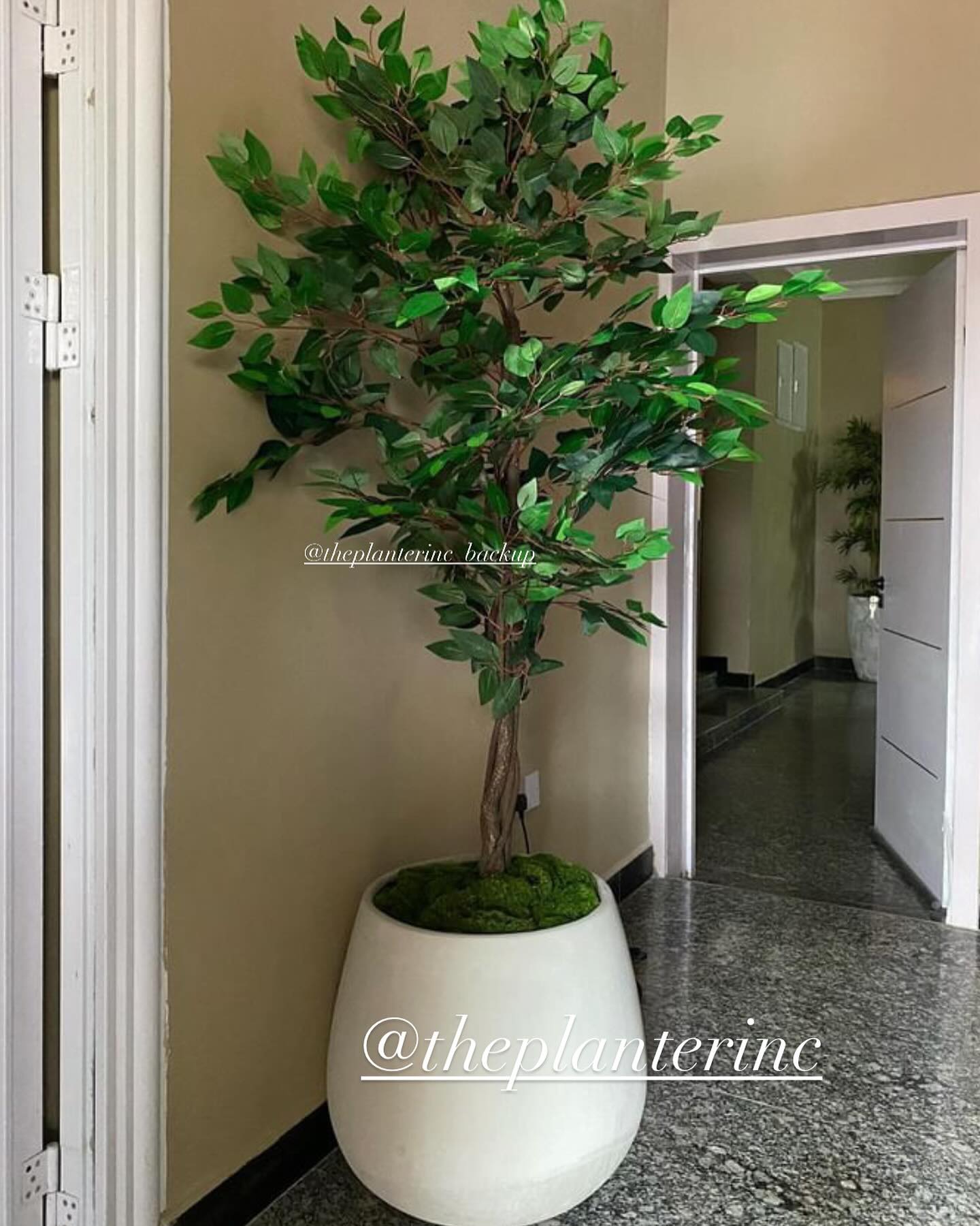 Rustic whitewashed wooden planter boxes