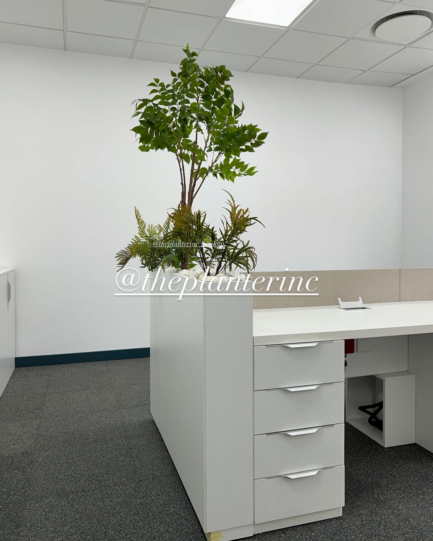 concrete planter on office desk